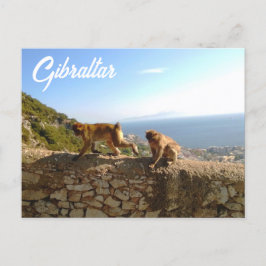 Postal Affen auf dem Fels in Gibraltar