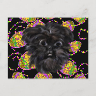 Postal Affenpinscher