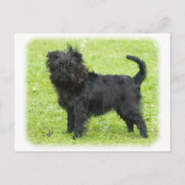 Postal Affenpinscher 9R095D-090 (Anverso)