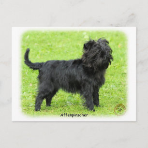 Postal Affenpinscher 9R095D-093