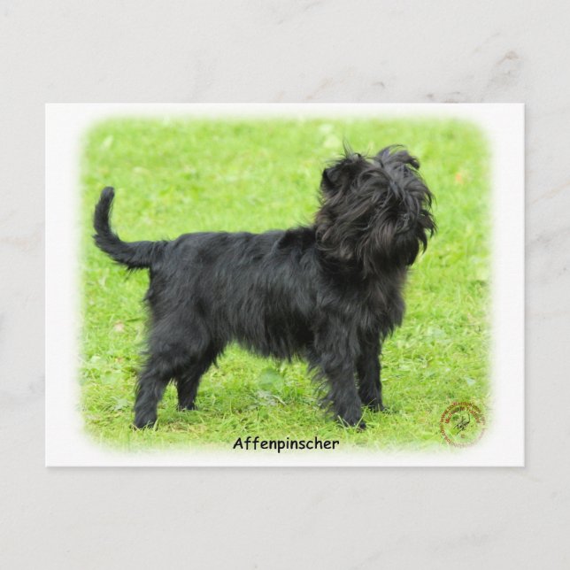 Postal Affenpinscher 9R095D-093 (Anverso)
