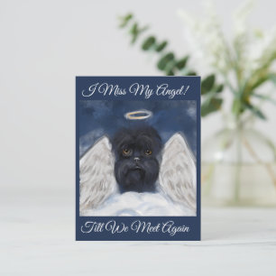 Postal Affenpinscher Angel