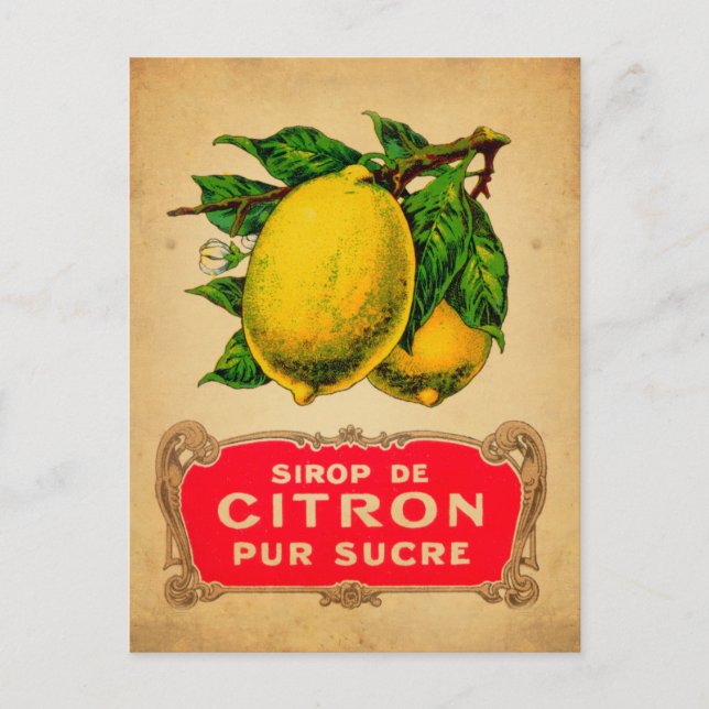 Postal Affiche citron, lemon, fruit, citrus, green, yello (Anverso)