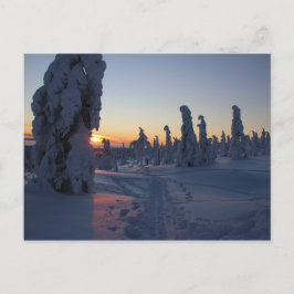Postal Affiche Couché de soleil sur la forêt en Laponie