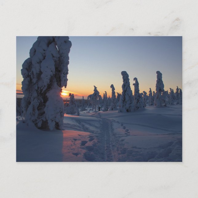 Postal Affiche Couché de soleil sur la forêt en Laponie (Anverso)