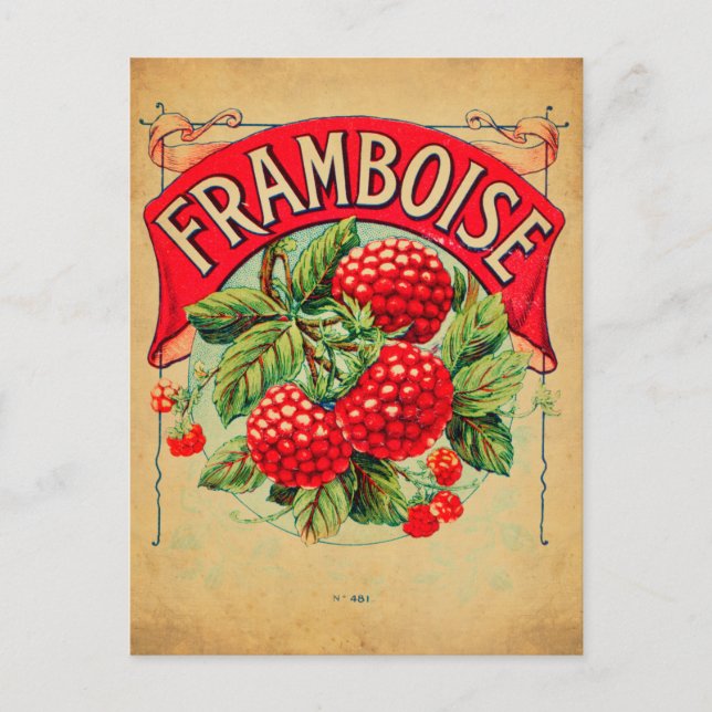 Postal Affiche framboise, fruit, strawberry, raspberry, s (Anverso)