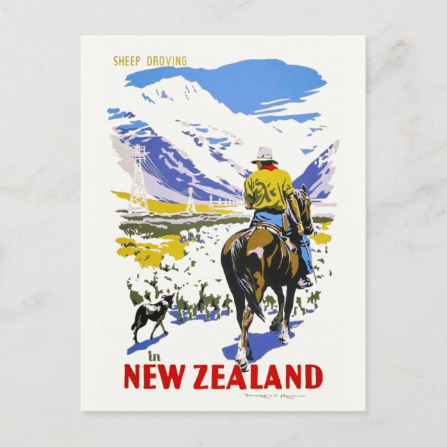 Postal Afiche de la oveja neozelandesa que dejó la cosech (Anverso)