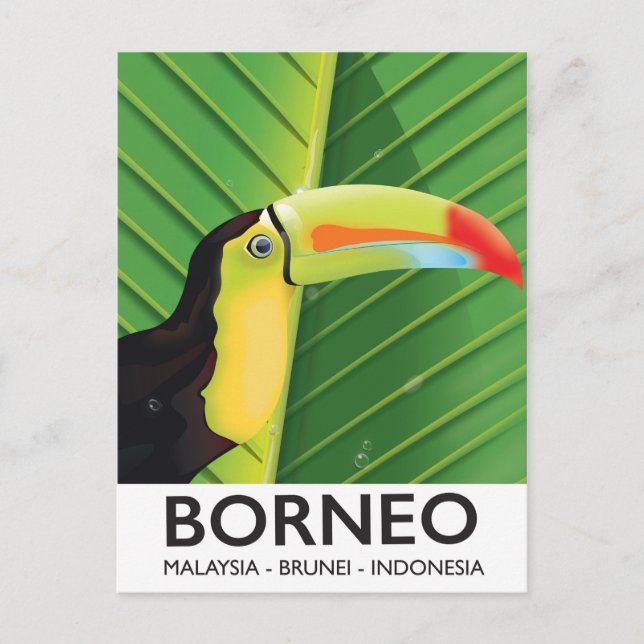 Postal Afiche de viaje de Borneo Toucan (Anverso)