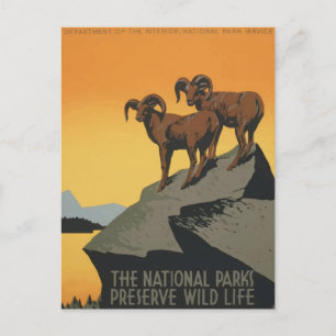 Postal Afiche de viaje retro del Parque Nacional de la Vi