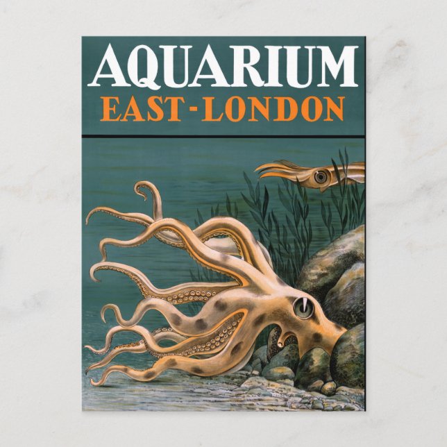 Postal Afiche del Aquarium Octopus Vintage Restaurado (Anverso)