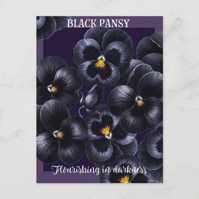 Postal Afirmación de las flores oscuras del negro pansy (Anverso)