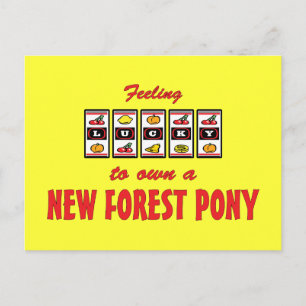 Postal Afortunado por poseer un nuevo diseño de diversión
