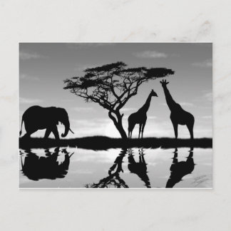 Postal África