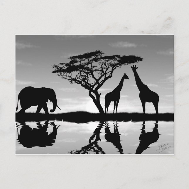 Postal África (Anverso)