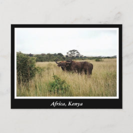 Postal África: Animales salvajes de Kenia