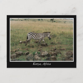 Postal África: Animales salvajes de Kenia
