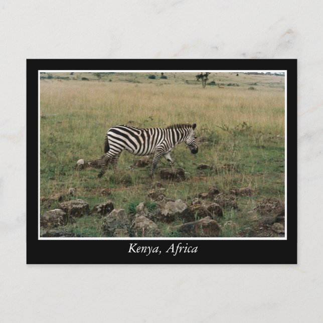 Postal África: Animales salvajes de Kenia (Anverso)