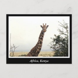 Postal África: Animales salvajes de Kenia