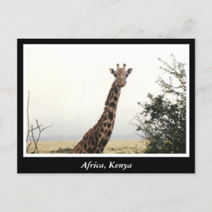 Postal África: Animales salvajes de Kenia