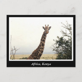 Postal África: Animales salvajes de Kenia