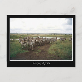 Postal África: Animales salvajes de Kenia