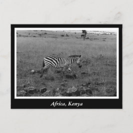 Postal África: Animales salvajes de Kenia