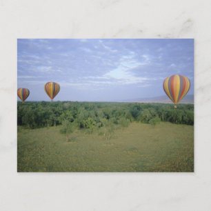 Postal África, Kenia, Reserva Nacional Masai Mara, 2