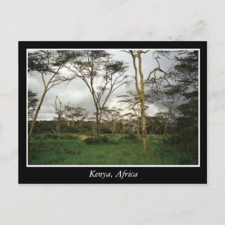 Postal África Kenia tierra salvaje