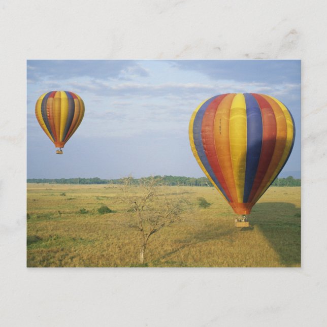 Postal África, Kenya, Reserva Nacional Masai Mara, (Anverso)