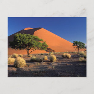 Postal África, Namibia, el parque Namib-Naukluff, Sossosv