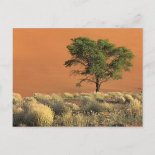 Postal África, Namibia, Parque Nacional Namib, Sossusvlei