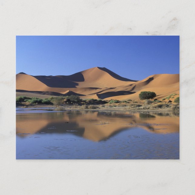 Postal África, Namibia, Parque Nacional Namib, Sossusvlei (Anverso)