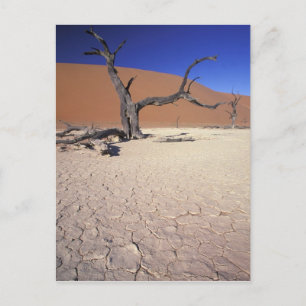 Postal África, Namibia, Región de Sossusvlei. Dunas de ar