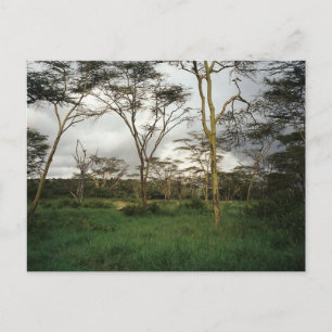 Postal África y Kenia