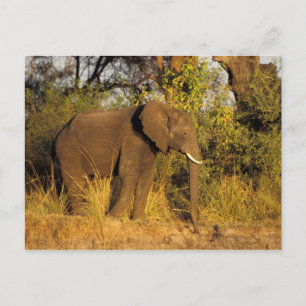 Postal África, Zimbabue, Parque Nacional Cataratas Victor