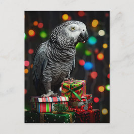 Postal African Grey on Gifts — Festive Greeting Card