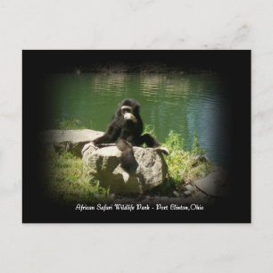 Postal africana sobre vida salvaje de Safari Ohio