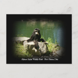 Postal africana sobre vida salvaje de Safari Ohio