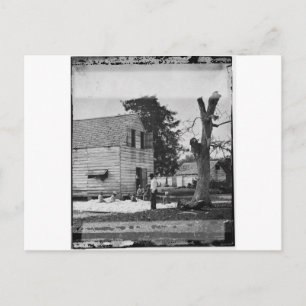 Postal Afroamericanos preparando algodón hacia 1862