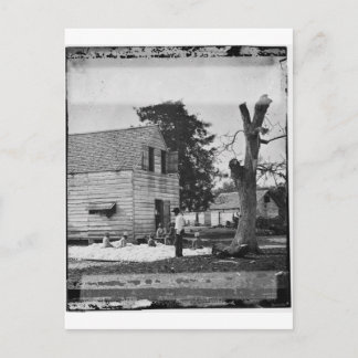 Postal Afroamericanos preparando algodón hacia 1862