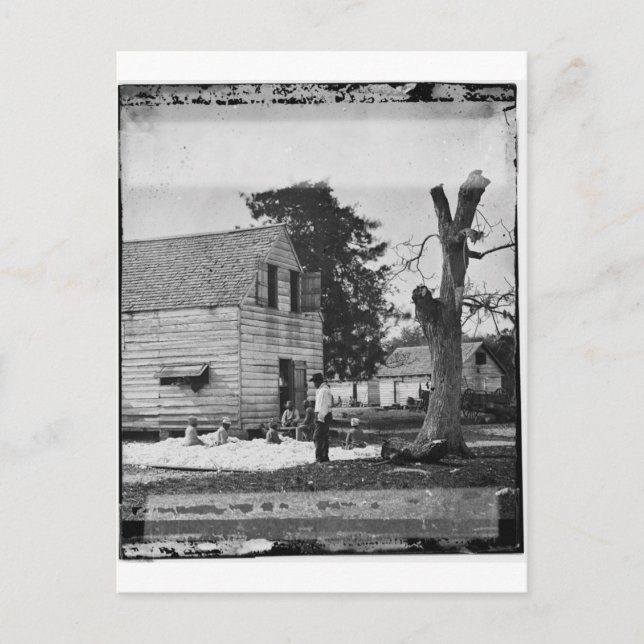 Postal Afroamericanos preparando algodón hacia 1862 (Anverso)