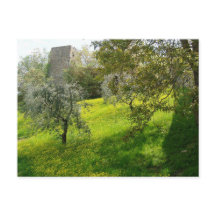 Afuera de las murallas de San Gimignano