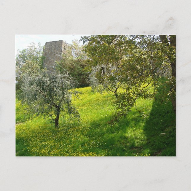 Postal Afuera de las murallas de San Gimignano (Anverso)