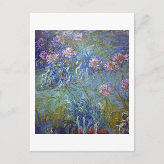 Postal Agapanthus, Monet (Anverso)
