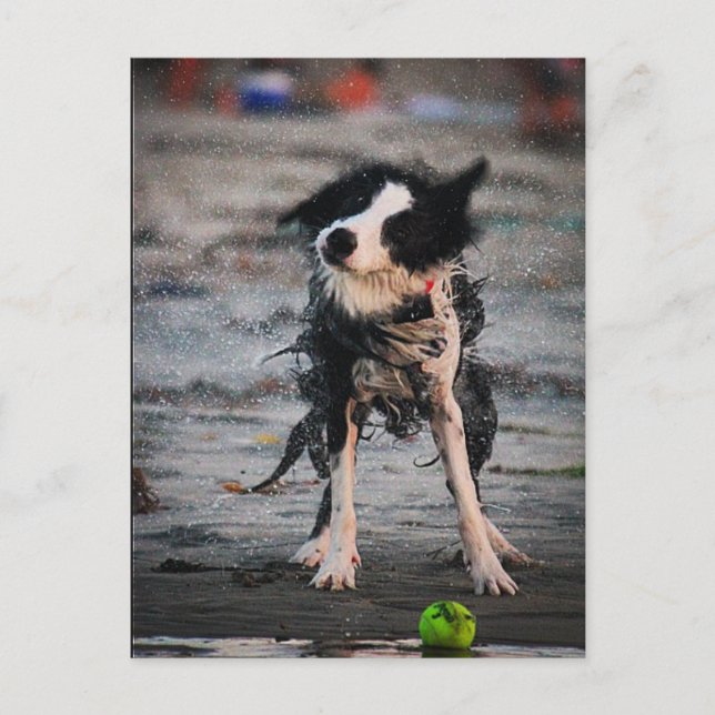 Postal ¡Agárralo! (Anverso)