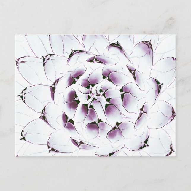 Postal Agave Cactus Postcard (Anverso)