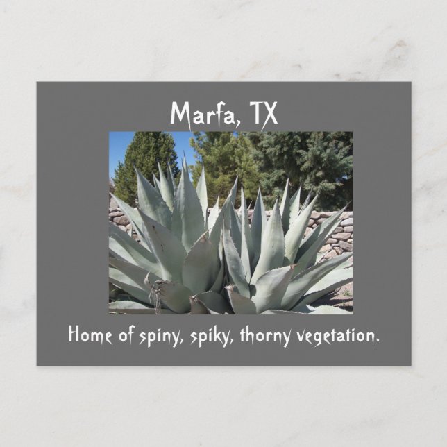 Postal Agave Marfa, Texas (Anverso)