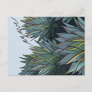 Postal Agave Mexico Souvenir