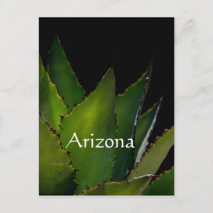Postal Agave resplandor Arizona