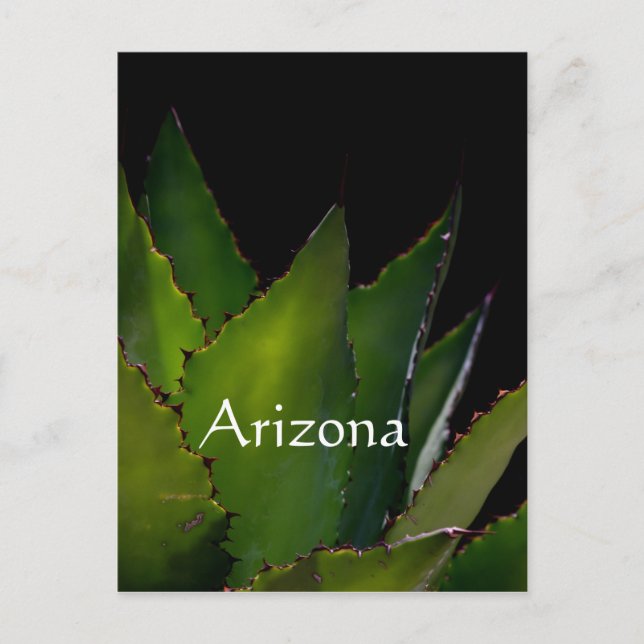Postal Agave resplandor Arizona (Anverso)